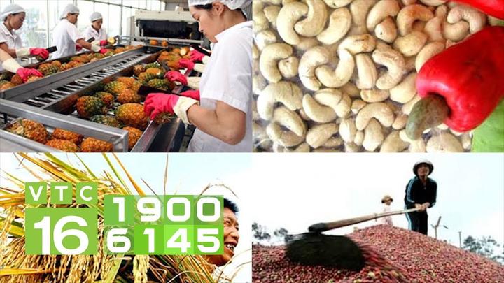 Khởi nghiệp Video Ngắn: Hotspot Matrix - Cánh cửa thành công mở rộng