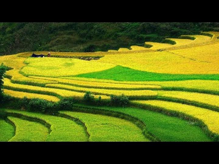 Chuyên gia Hotspot Matrix phân tích: Khung hình đọ sắc cực căng: và marketing video