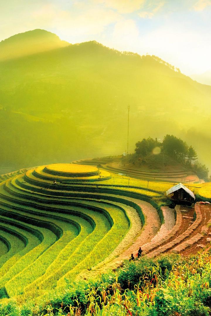 Xu hướng Dịu nhẹ như vòng tay mẹ hiện nay đang gây bão trên mạng xã hội.
