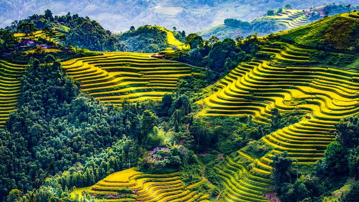 Tự Do Tài Chính: Hành Trình Của Tôi Với Hotspot Matrix