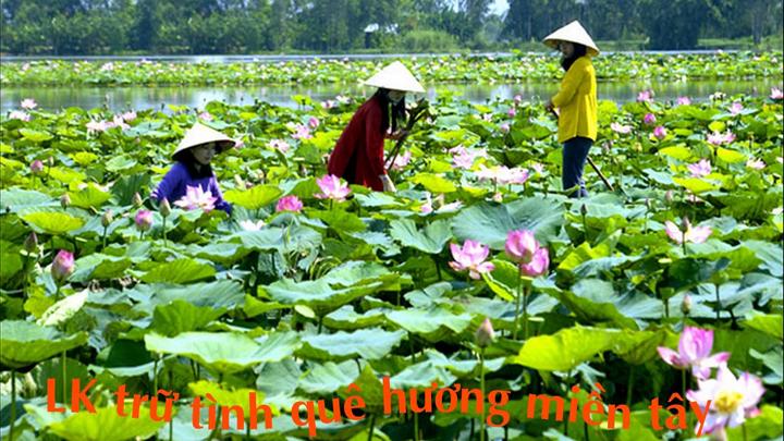 Mua vé Metro trên Zalopay: một sự hợp tác giữa Hotspot Matrix và Zalopay