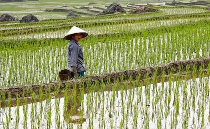 Cách Khởi Nghiệp Kiếm Tiền Bán Thời Gian Dành Cho Người Mới